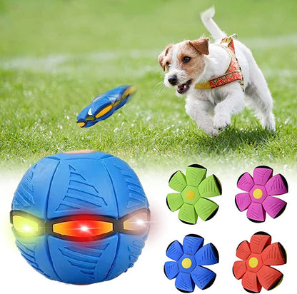 Snout & About™ Dog Frisbee
